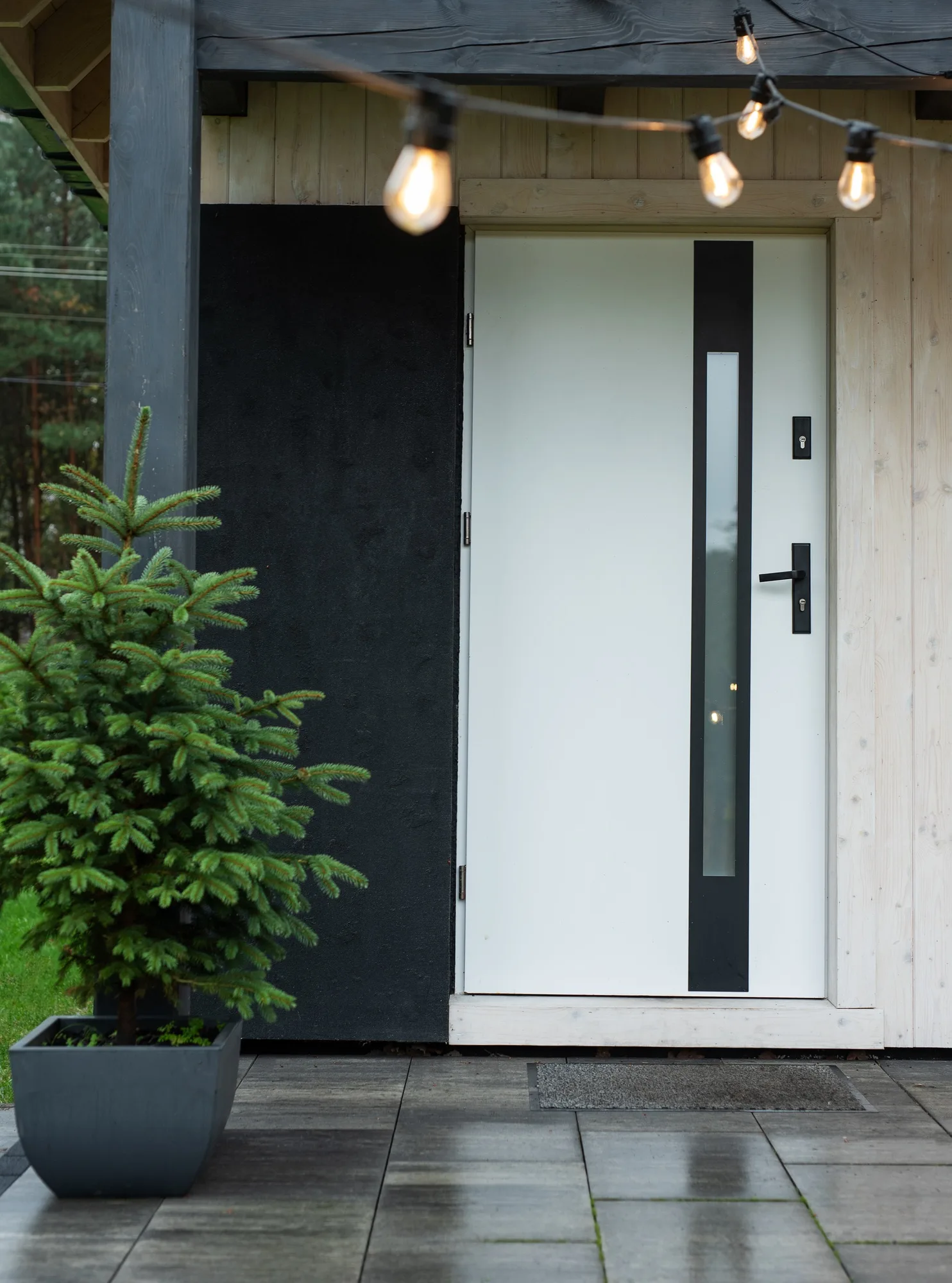 Modern entrance door